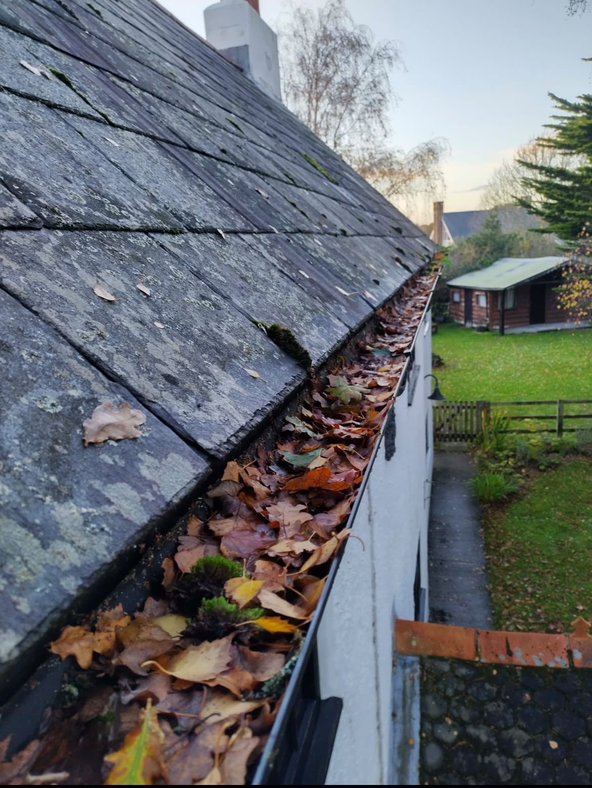 Gutter clearing before and after, leaves and debris removed from a blocked gutter in Lymington - before