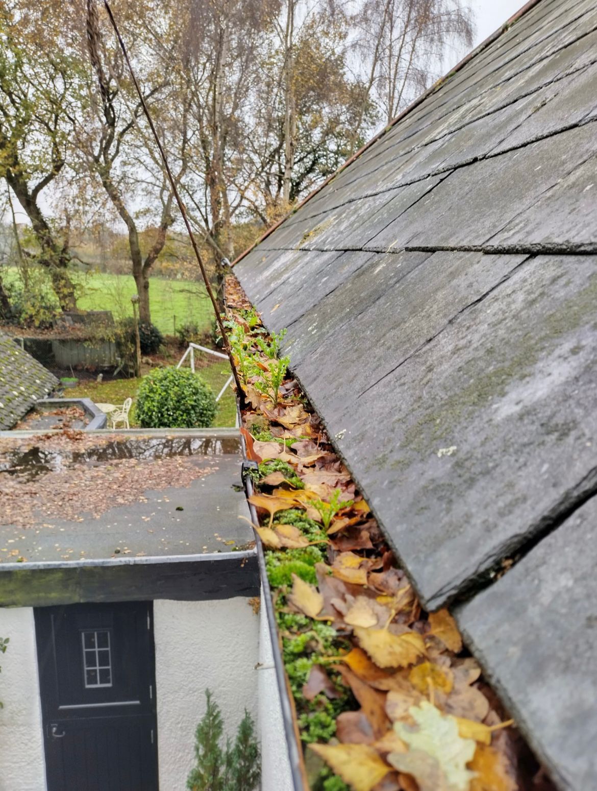 Purefection - Gutter Cleaning Before